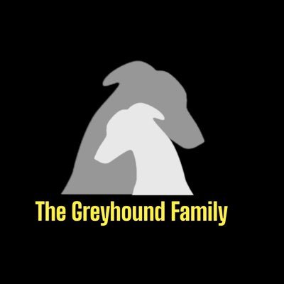 ‼️Home of all things “the greyhound family”‼️Owner of 13 racing greyhounds. BBC young reporter 2023 (north) Writer for @weeklygreyhound All opinions are my own!