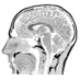 BBEER (@bbeer_lab) Twitter profile photo BBEER (@bbeer_lab) Twitter profile photo