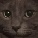 tagchamp2000's profile picture. Boop