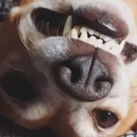 Carlota M•PB (@monkeybark_) 's Twitter Profile