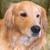 ParkergirlUSA (@parkergirlusa) Twitter profile photo ParkergirlUSA (@parkergirlusa) Twitter profile photo
