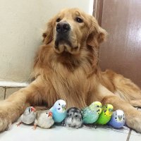 FA (@cumsumbum) 's Twitter Profile