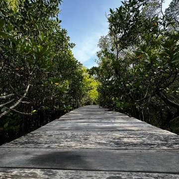 MobSaitama2's profile picture. i am the strongest