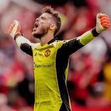 SaveMeDeGea's profile picture. 
