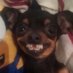 Cocoa 🇺🇸🇨🇦🇲🇽 (@toya_toni_) Twitter profile photo Cocoa 🇺🇸🇨🇦🇲🇽 (@toya_toni_) Twitter profile photo