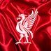 Reds Brasil | Fan Account Profile picture