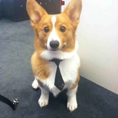 BobbyBigWh31221's profile picture. 