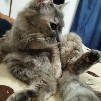 宜しくお願いいたします。