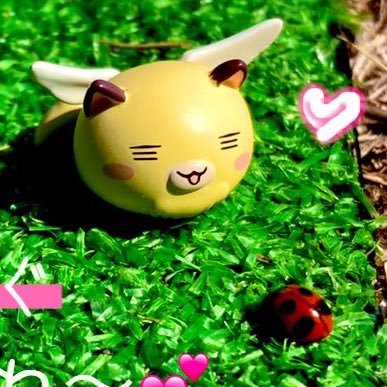 ☆jun✧低浮上🫥さんのプロフィール画像