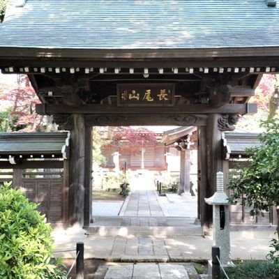 天台宗  　　
御本尊／阿弥陀如来
通称／あじさい寺