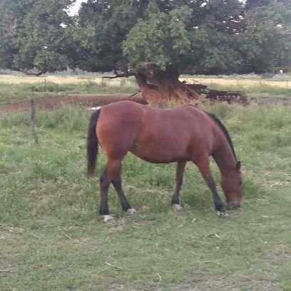 rodrigueh7t8's profile picture. 