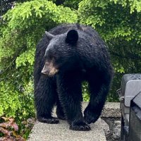 Peak_Society (@steveo2slo) 's Twitter Profile
