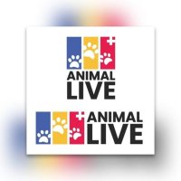 🐕🐈 Colombia Animal Live con poco se hacen grande(@Andreccelylive) 's Twitter Profile Photo