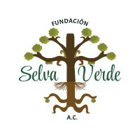 Fundación Selva Verde A.C.(@fsvorgmx) 's Twitter Profile Photo