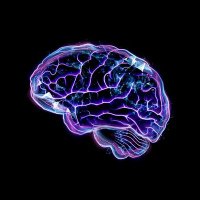 PhD buddy (@phd_buddy) Twitter profile photo