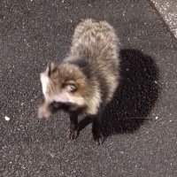 you (@you_gumd) Twitter profile photo