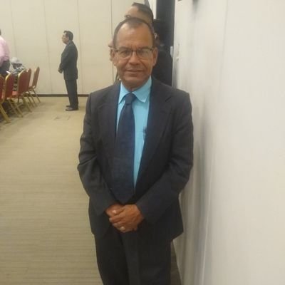 Periodista