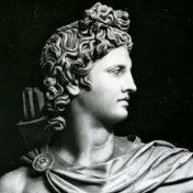 aurelian_ad's profile picture. Cui bono?