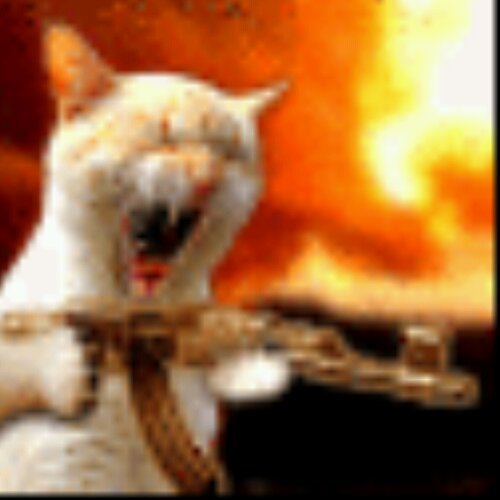 Julz058's profile picture. Mom, Wife, #TeamStiefel for life. Save the drama for your mama cuz I want nothing to do with it. I'm here for FUN!