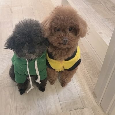 kissfm神戸☝🏽ターザン派 芳名先生にkissネーム授かる。 バンバンラジオ最強🤣 BANネーム(カメ頭筋太郎)(DJカメアタマ)DJカメ太郎🙇♂️FMゲンキ😊(ツイキャス素人DJ配信)昭和アニソン中心に毎週金曜日か土曜21時頃より配信してます🙇♂️