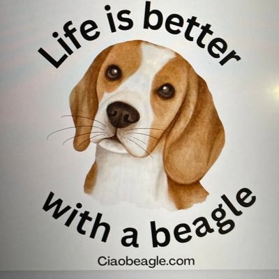 Attention all dog lovers!! Celebrate your love for these adorable pups by sporting some stylish beagle-themed apparel. Shop now at https://t.co/Qwkf5tUXbB!