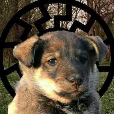 bentega22's profile picture. 