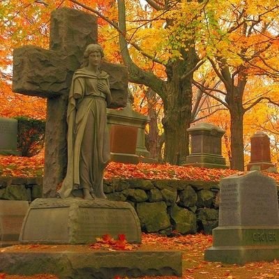 Cemeterian4ever Profile Picture