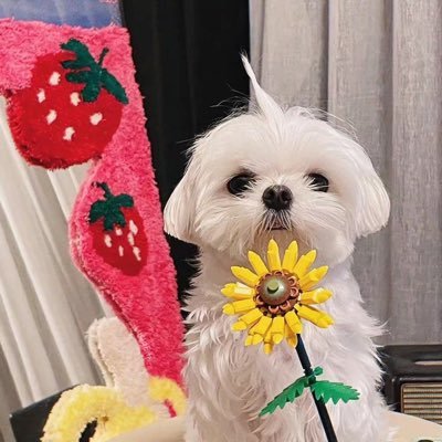 luvian77400427's profile picture. 