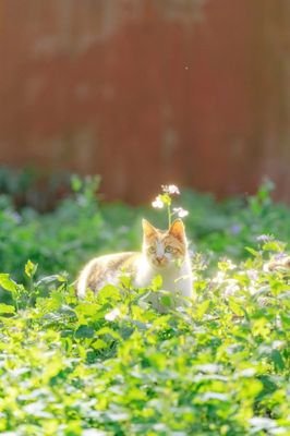 jessie20000426's profile picture. hi