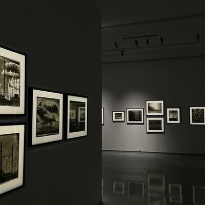 JenayZahra's profile picture. 