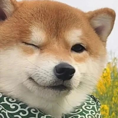 xuhane122707's profile picture. 追剧，看电影，听歌，散步，打羽毛球