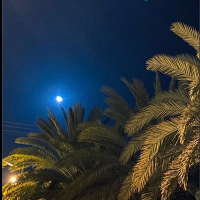 To9_i's profile picture.
