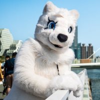 皎月白熊 (@white_bear_moon) 's Twitter Profile