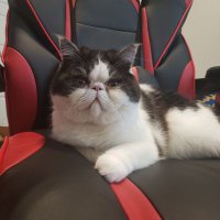 Chainhealspm (@chainhealspm) 's Twitter Profile