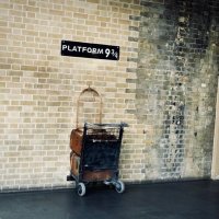 H721998H (@hh3447dpi) 's Twitter Profile