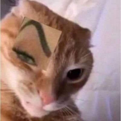 bing_koyyy's profile picture. 