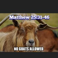 Separated from Goats(@leftchurchcult) 's Twitter Profile Photo