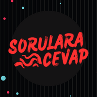 sorularacevap(@sorularacevapne) 's Twitter Profile Photo