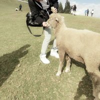 JH (@javan19871223) 's Twitter Profile