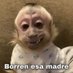 azul (@luztorre1572181) Twitter profile photo azul (@luztorre1572181) Twitter profile photo