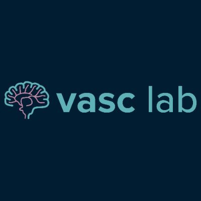Vascular Anomalies & Stroke Computation Lab | Led by @EWinklerMDPhd at @NeurosurgUCSF | Decoding and re-envisioning human cerebrovascular disease