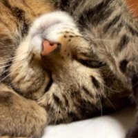 oasismath (@oasismath) 's Twitter Profile