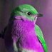 Ayşegül.. (@aysegul070770) Twitter profile photo Ayşegül.. (@aysegul070770) Twitter profile photo