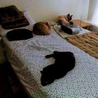 Doc (@doc05583544) 's Twitter Profile Photo Doc (@doc05583544) 's Twitter Profile Photo