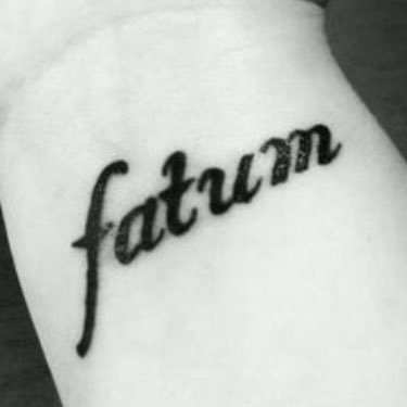 SenechkinV's profile picture. 