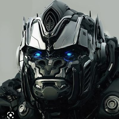 OPTIMUSCRYPTO81 Profile Picture