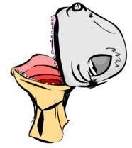 VHLL2011's profile picture. 