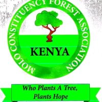 MOLO CONSTITUENCY FOREST ASSOCIATION(@PeterWa11408406) 's Twitter Profile Photo