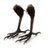 Focused_Image's profile image