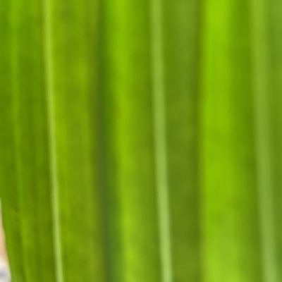 micksqk's profile picture. 